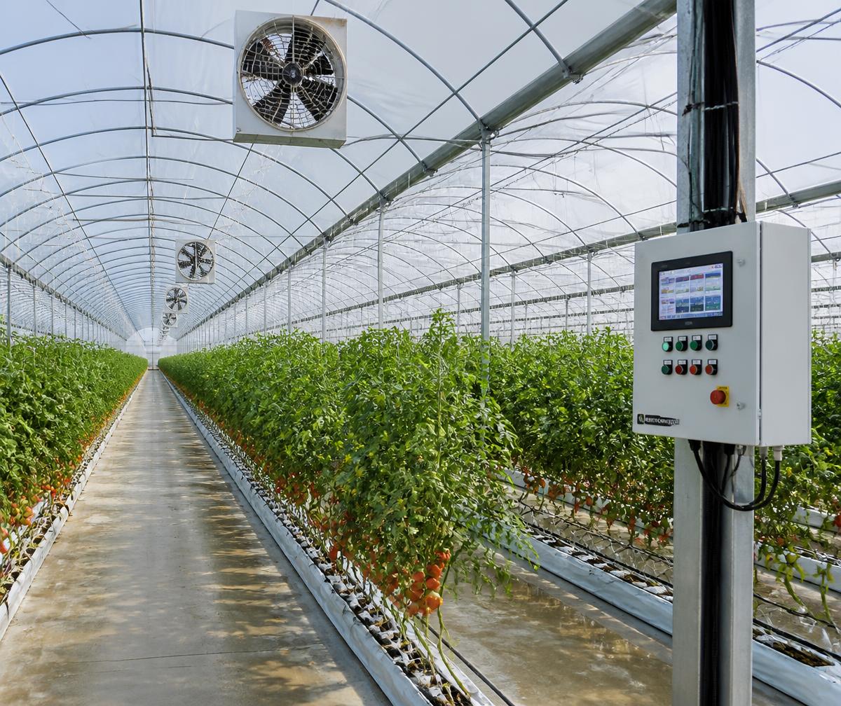 Automated greenhouse with ventilation fans, irrigation lines and a control panel