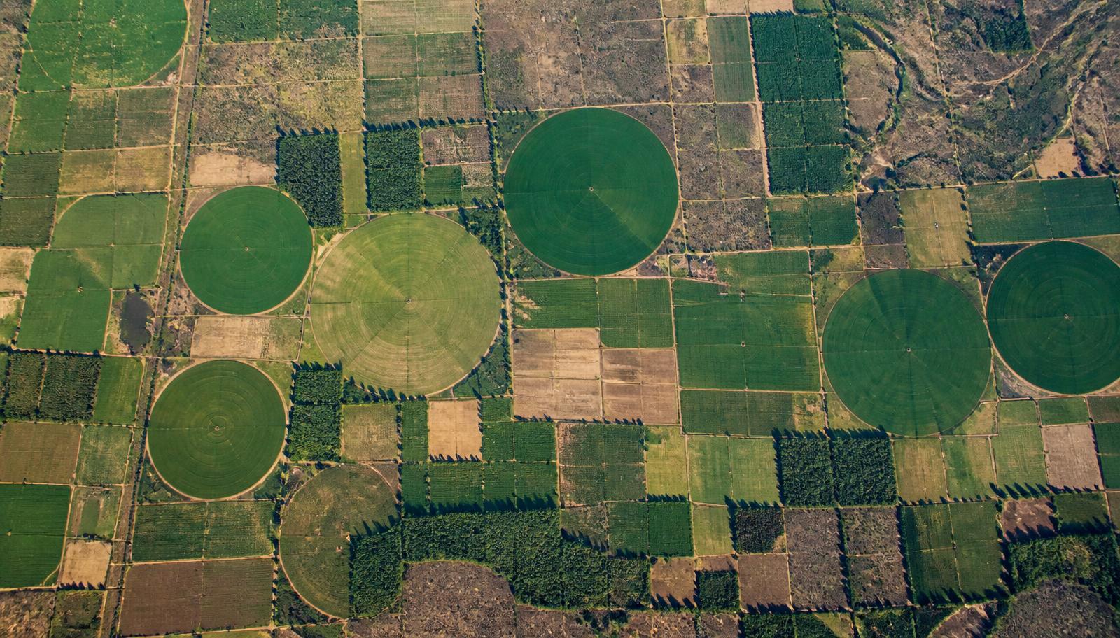 Aerial view of irrigated African farmland fields
